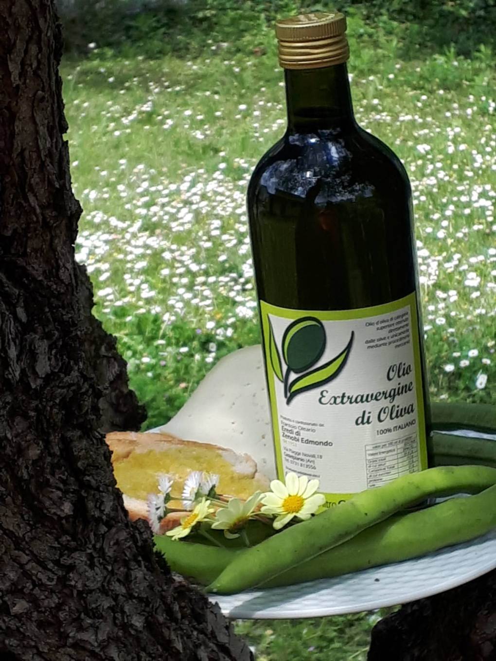 Bottiglia di Olio